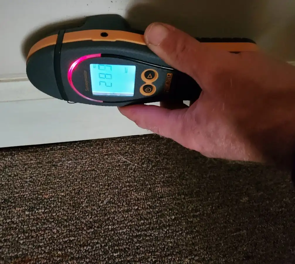 Moisture detection at baseboard during Mold Inspection & Testing in Upper Gwynedd